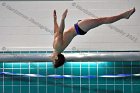 Swimming & Diving vs Babson  Swimming & Diving vs Babson College. - Photo by Keith Nordstrom : Wheaton, Swimming